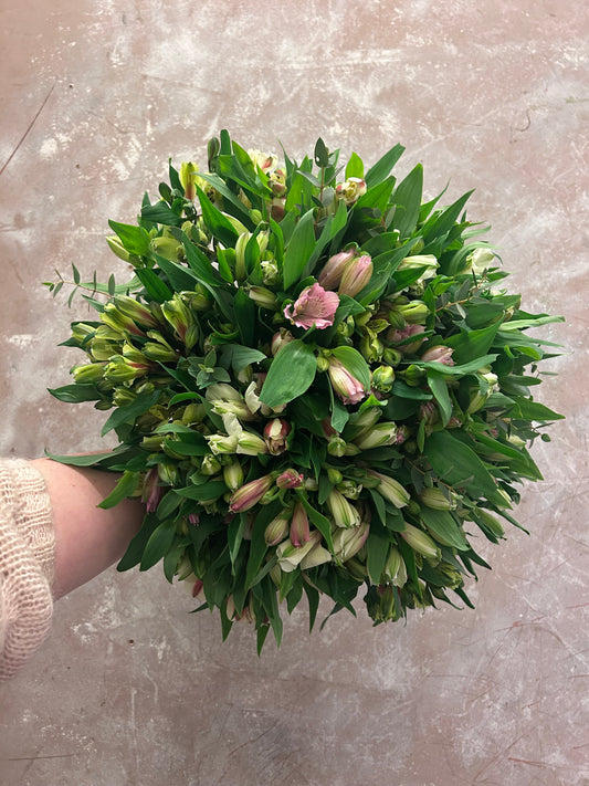 Alstromeria buket