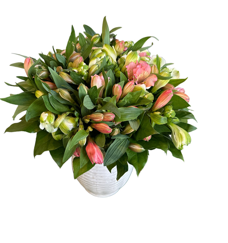 Alstromeria buket