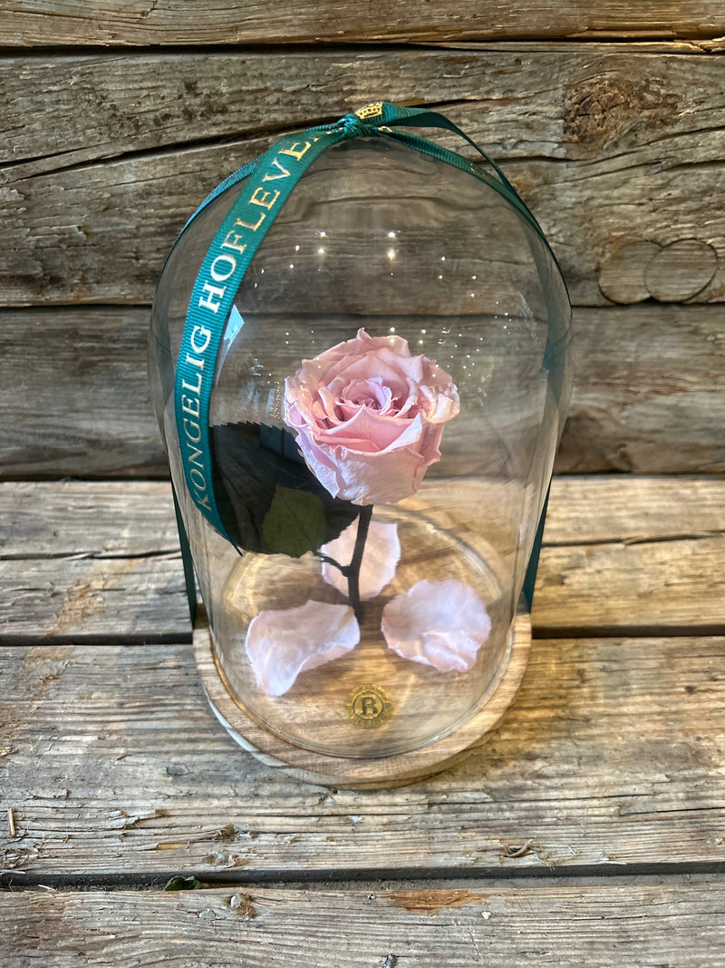 Elsker dig for evigt - Rosenkuppel