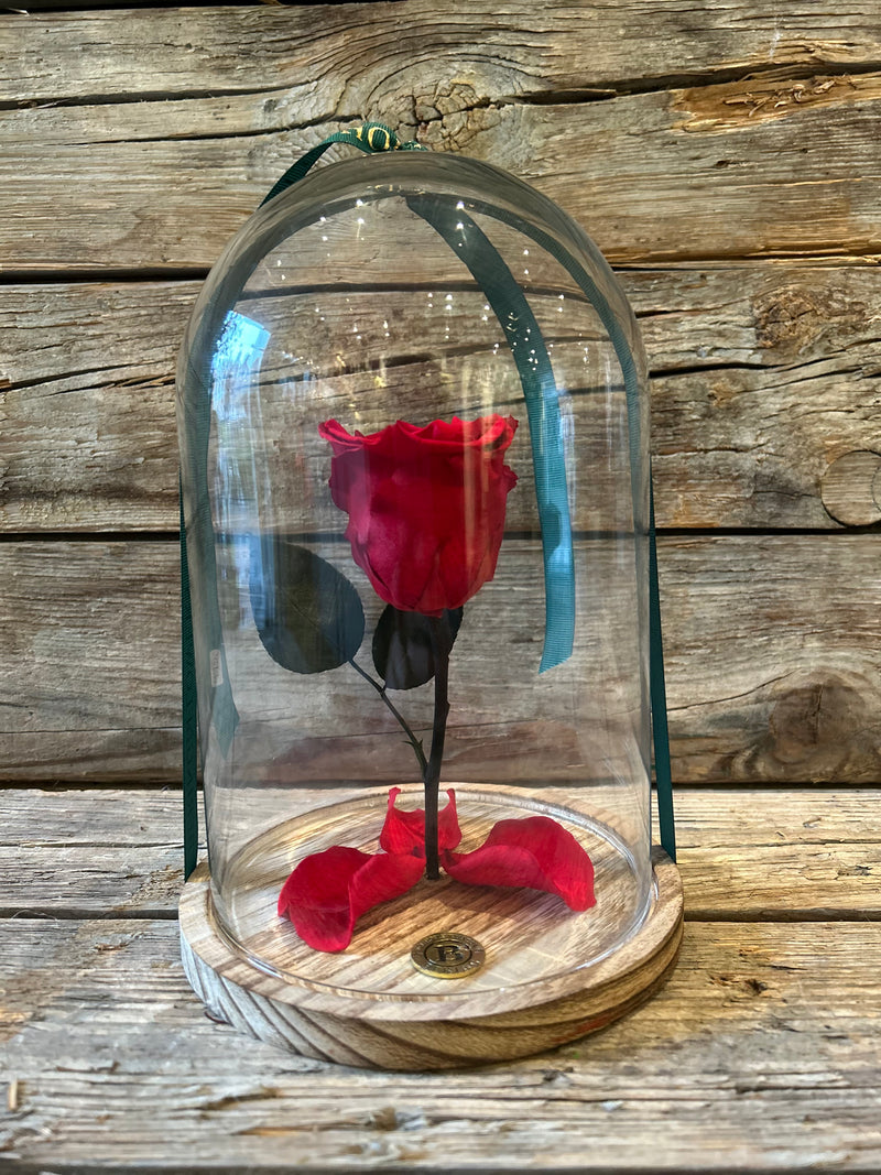 Elsker dig for evigt - Rosenkuppel