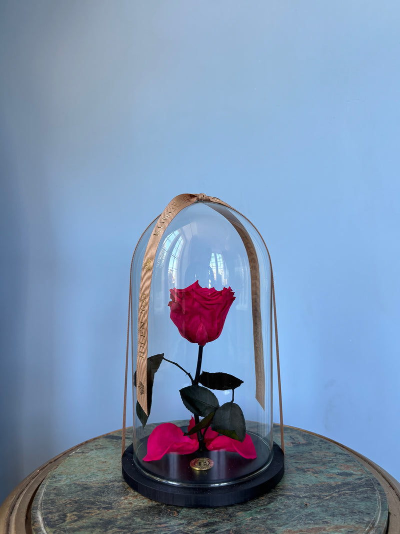 Love you forever - Rosenkuppel