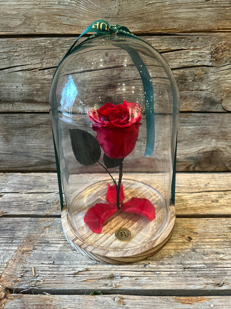 Elsker dig for evigt - Rosenkuppel