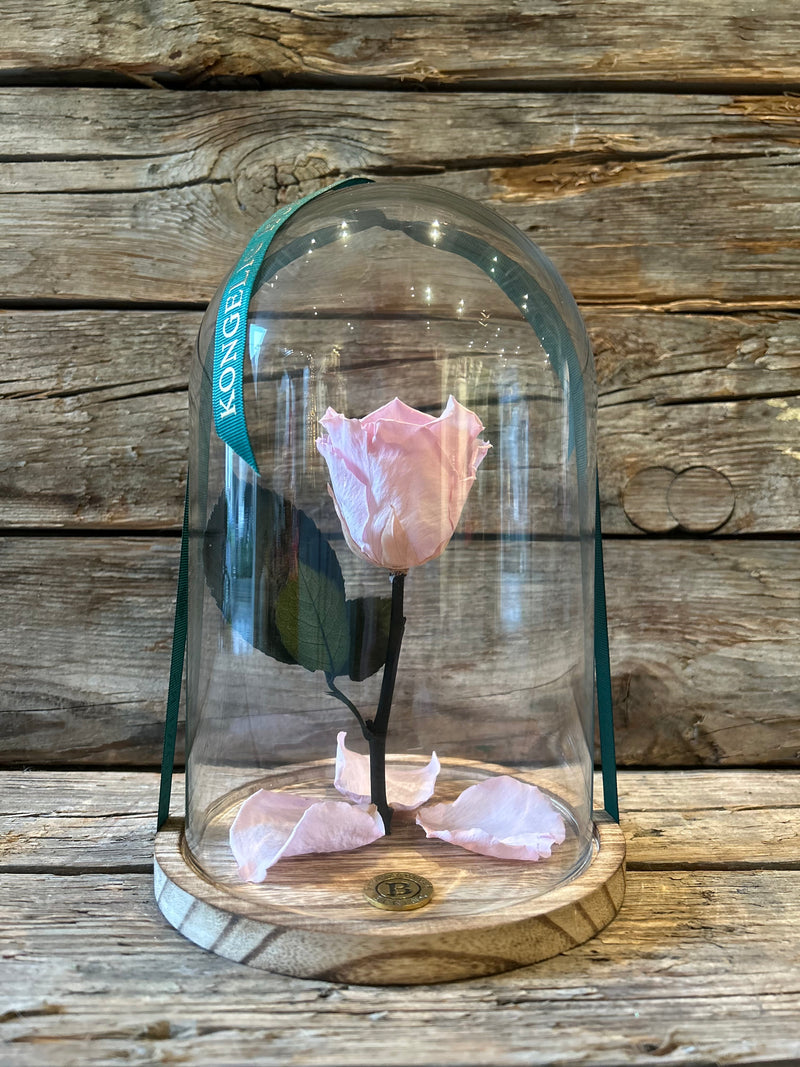 Elsker dig for evigt - Rosenkuppel