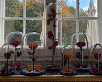Bering House of Flowers Aps