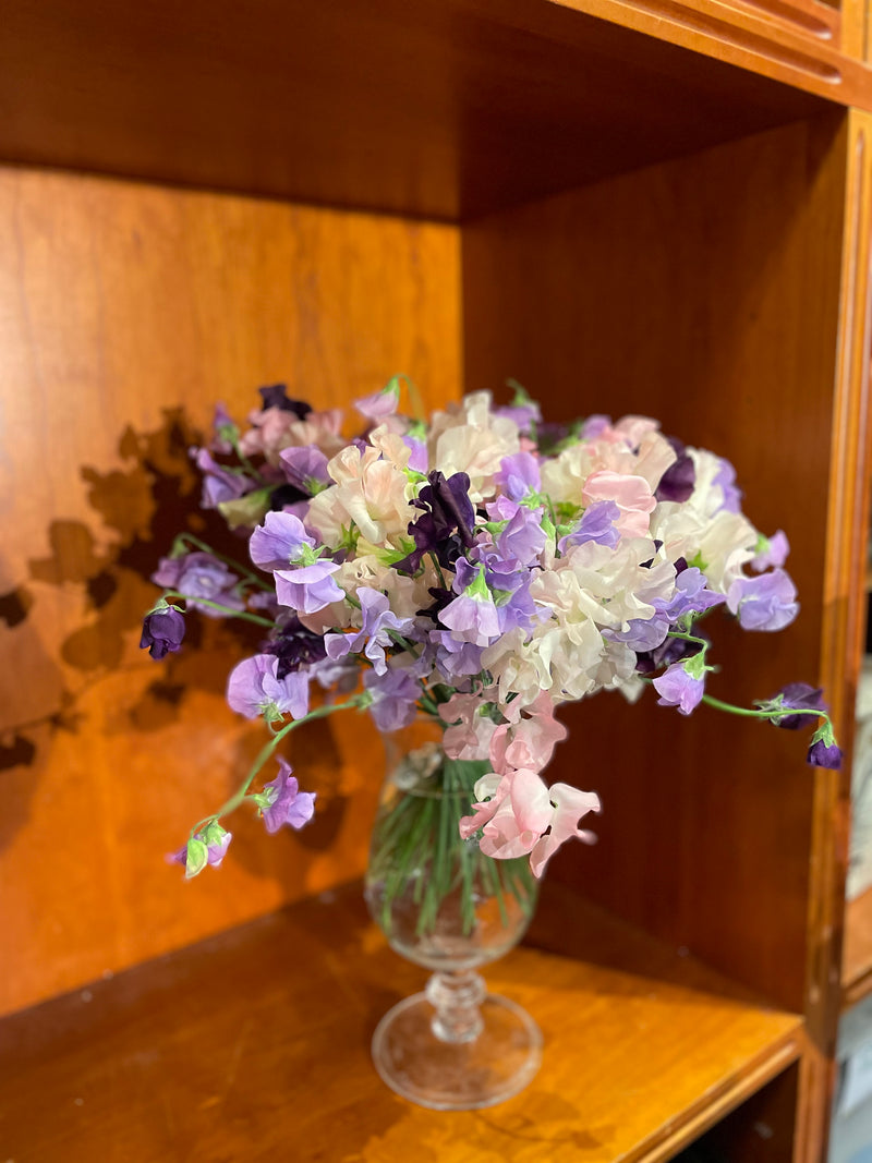Lathyrus bouquet