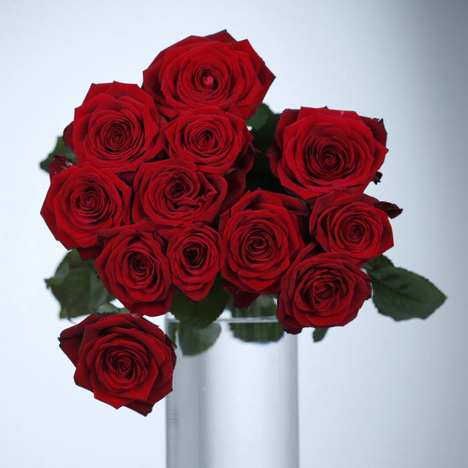 Langstilkede røde roser