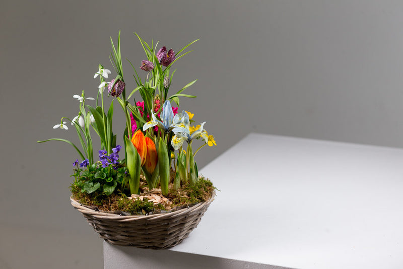 Planting with seasonal plants