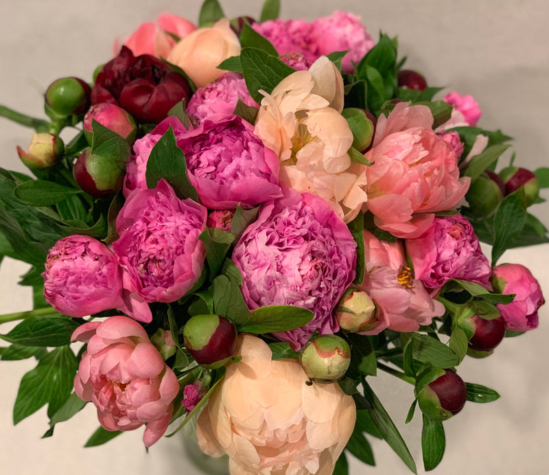 Peony bouquet
