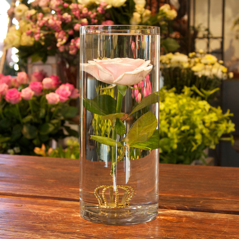 Cylinder Glass with Rose and Solder Crown