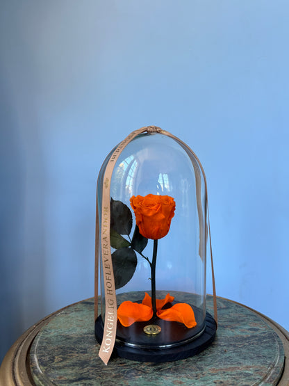 Elsker dig for evigt - Julekuppel