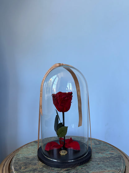 Love you forever - Rosenkuppel