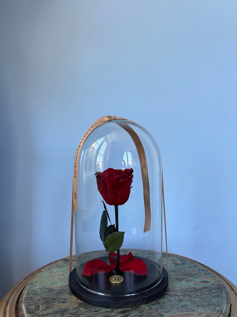 Love you forever - Rosenkuppel