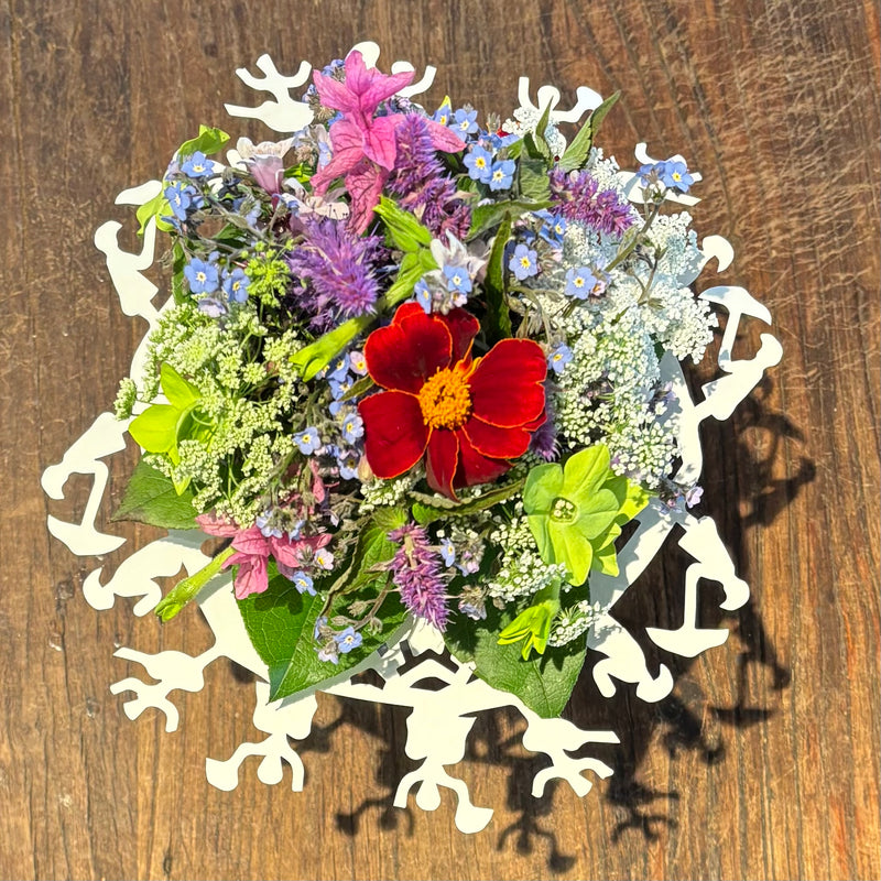 H. C. Andersens dansk sommer