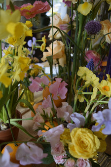 Bering House of Flowers Aps