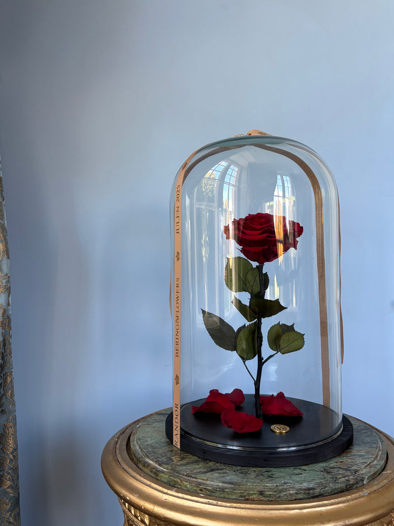 Love you forever - Rosenkuppel