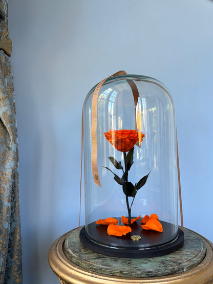 Elsker dig for evigt - Julekuppel