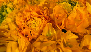 Bering House of Flowers Aps