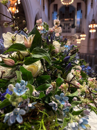 Bering House of Flowers Aps