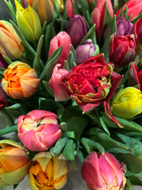 Bering House of Flowers Aps