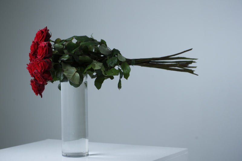 Langstilkede røde roser