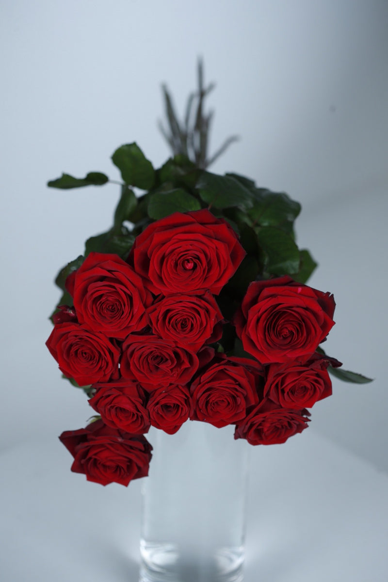 Langstilkede røde roser