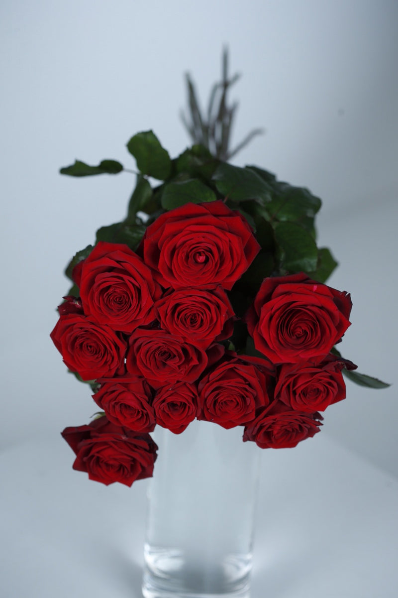 Langstilkede røde roser