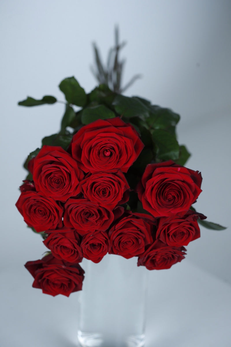 Langstilkede røde roser