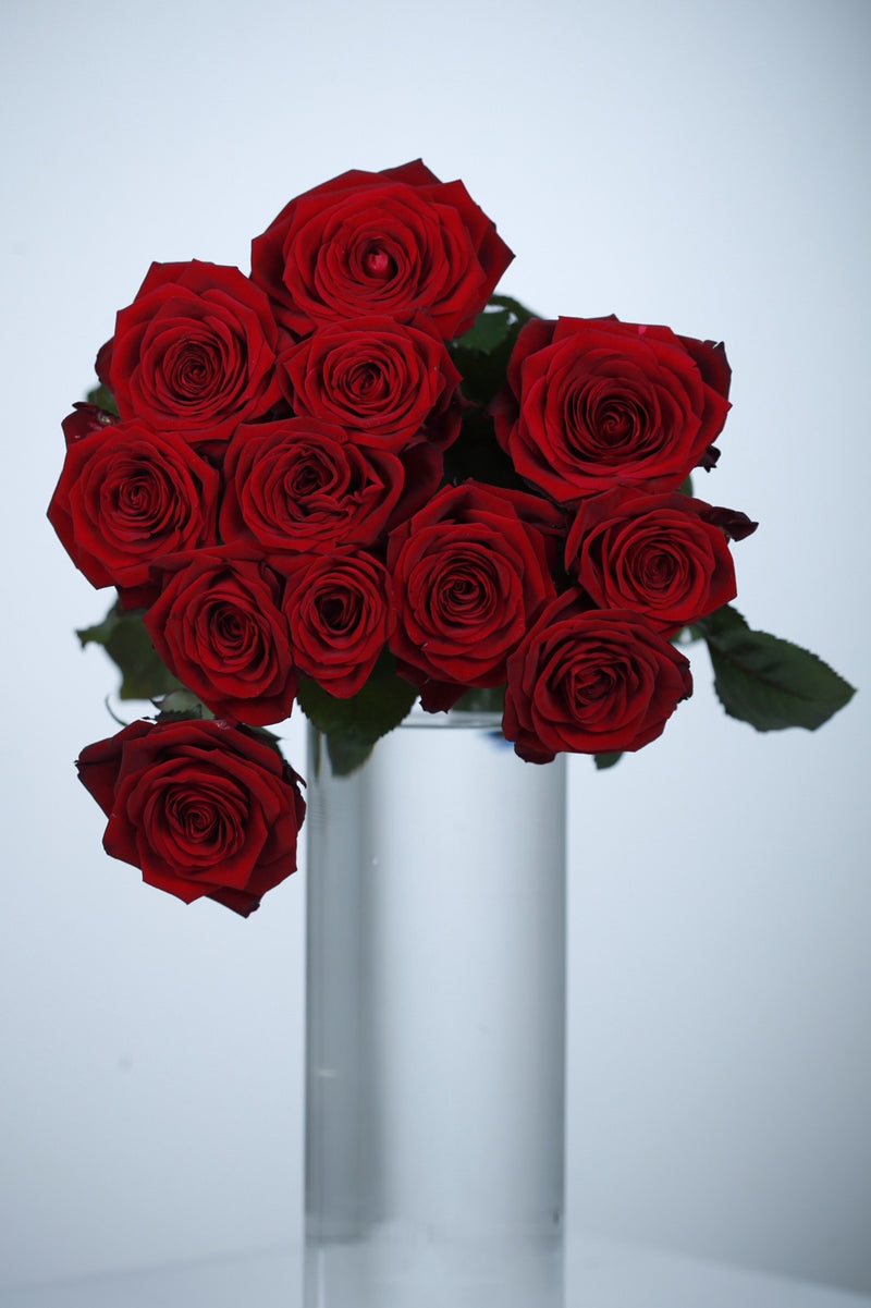 Langstilkede røde roser