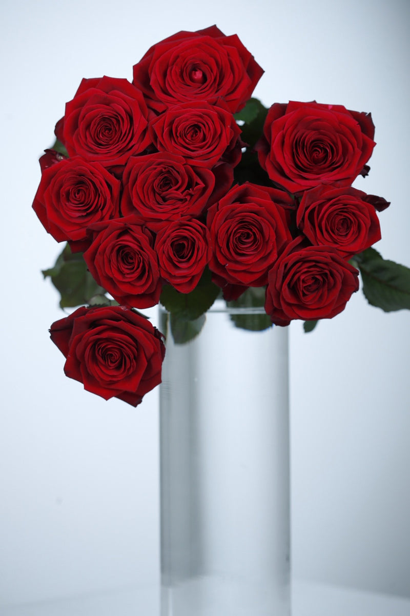 Langstilkede røde roser