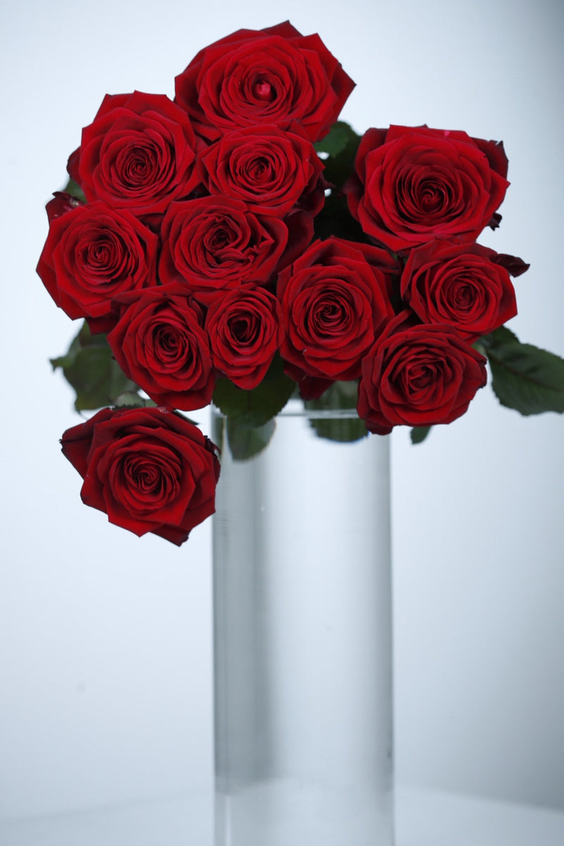 Langstilkede røde roser