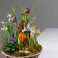 Sammenplantning med årstidens planter