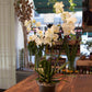 Orkide plante i Glas